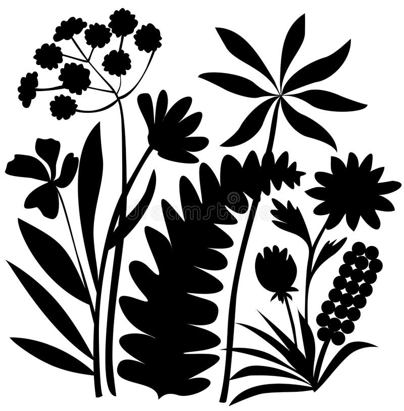 Flowering meadow stock illustration