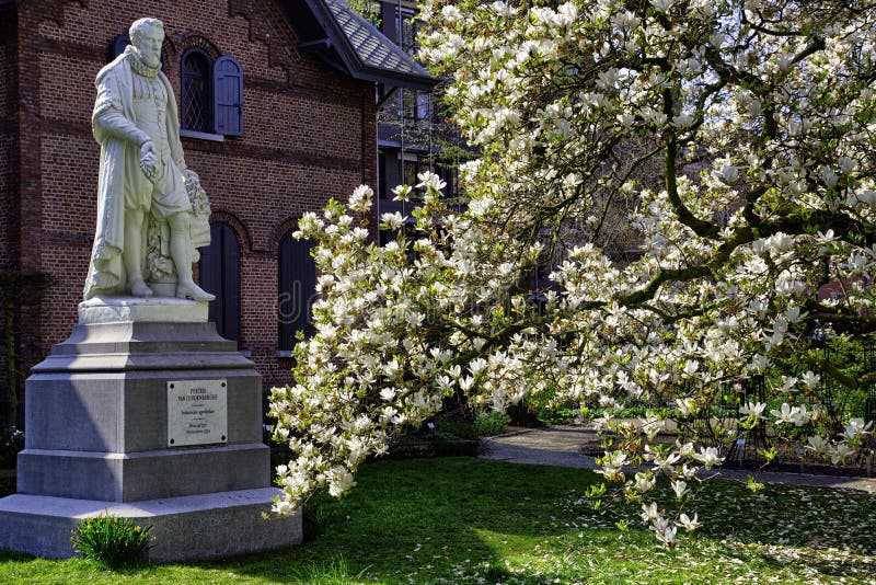 Jar kvitne v botanickej záhrade Antverp v Belgicku.