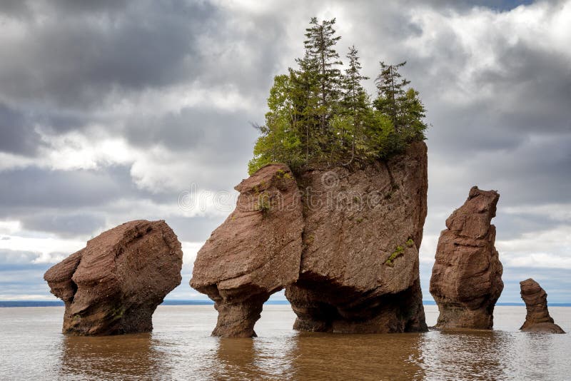 2,640 Fotos de Stock de Fundy - Fotos de Stock Gratuitas e Sem