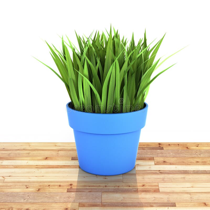 Flowerpot με την πράσινη χλόη στο ξύλινο πάτωμα και άσπρο υπόβαθρο με την αντανάκλαση τρισδιάστατη διανυσματική απεικόνιση Flowerpot με την πράσινη χλόη στο ξύλινο πάτωμα και άσπρο υπόβαθρο με την αντανάκλαση τρισδιάστατη διανυσματική απεικόνιση
