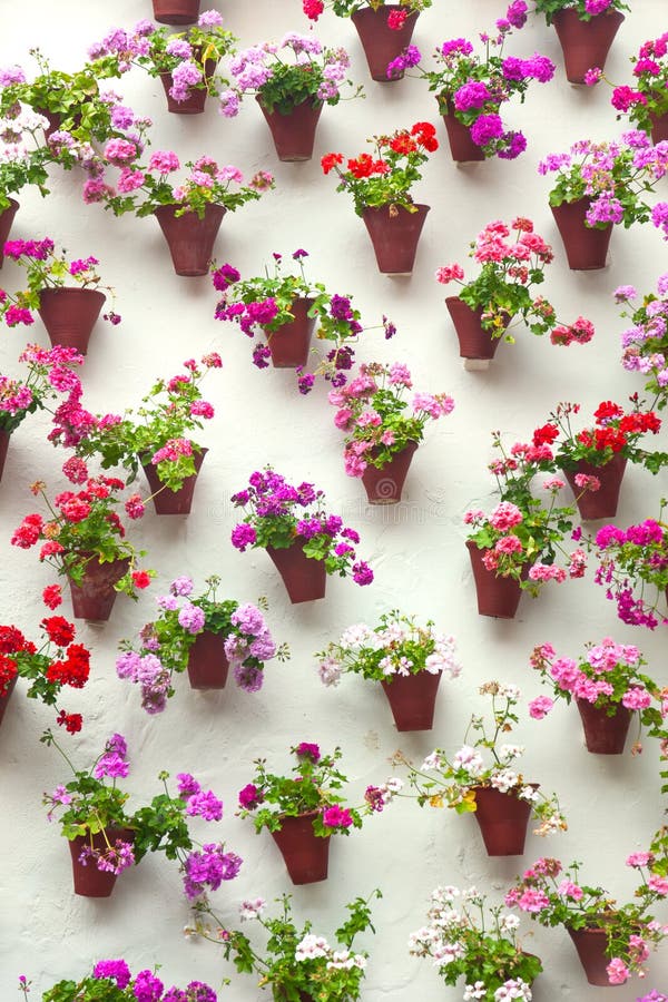 Flowerpots and colorful flower on a white wall, Old European to stock image Flowerpots and colorful flower on a white wall, Old European to stock image