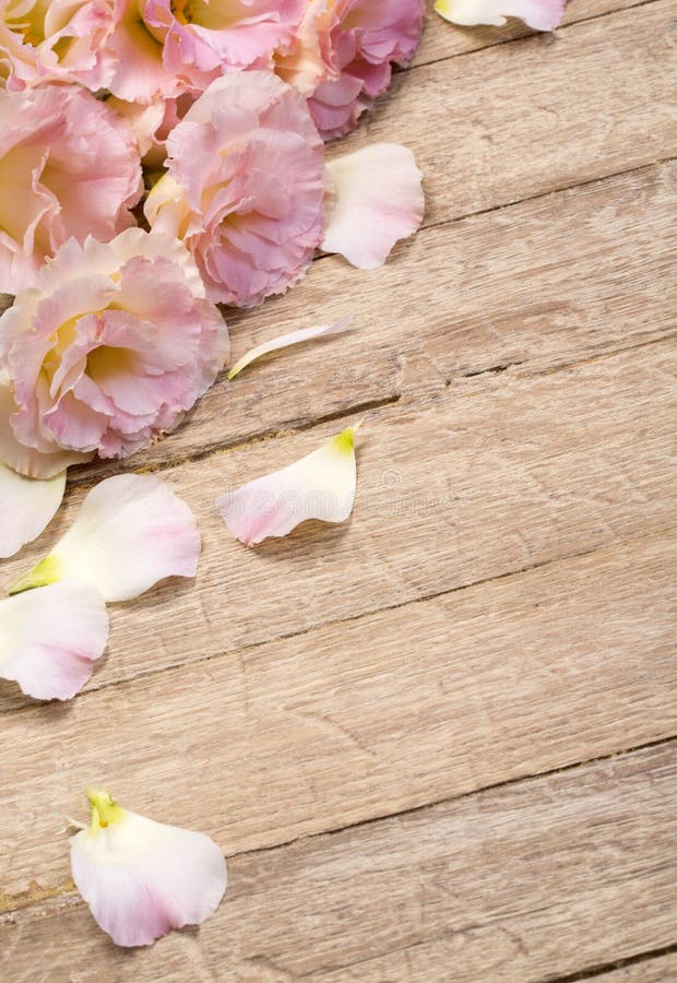 Flowers on aged wooden background.