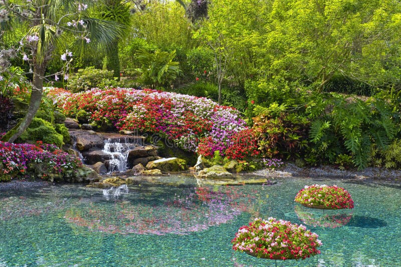 Flowers around pond