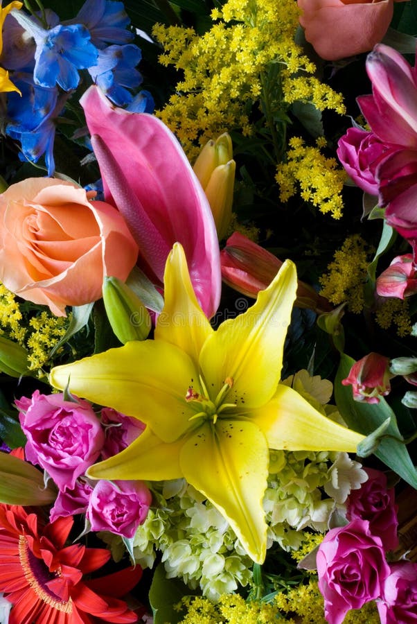 Exotic flowers arrangment stock image. Image of gorgeous - 544979