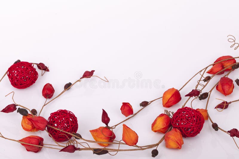 Flowers As Decoration Wallpaper Stock Photo Image of flower, wall