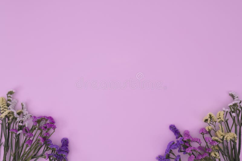Flowers of Assorted Colors with an Empty Pink Background Stock Image
