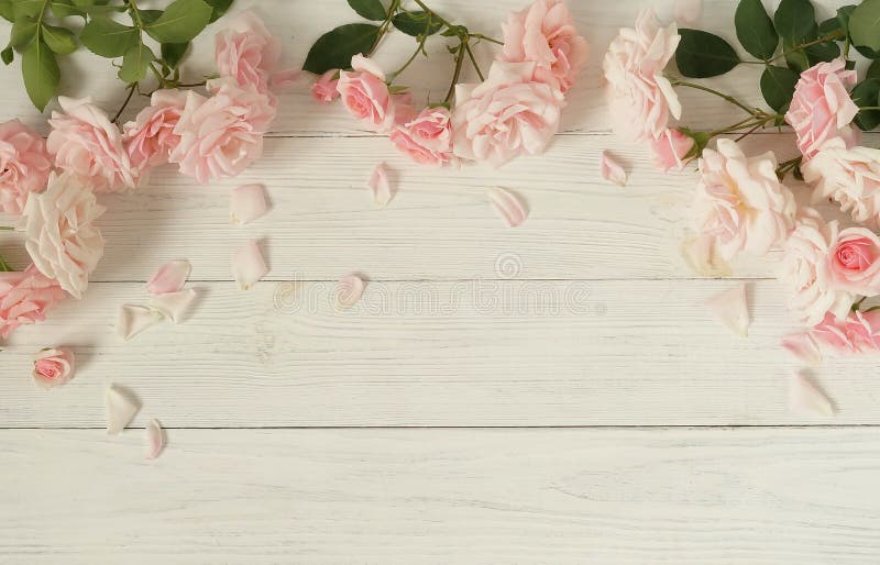 Flowers background. Bouquet of beautiful pink roses on white wooden background.
