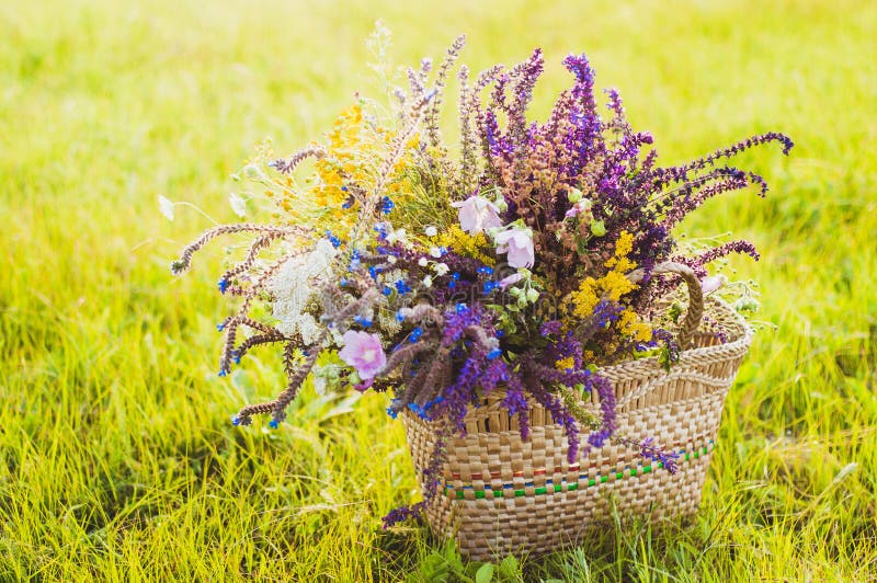 Flowers in the Basket on the Grass Stock Image Image of allergy