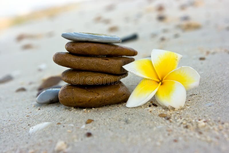 Flowers on the beach