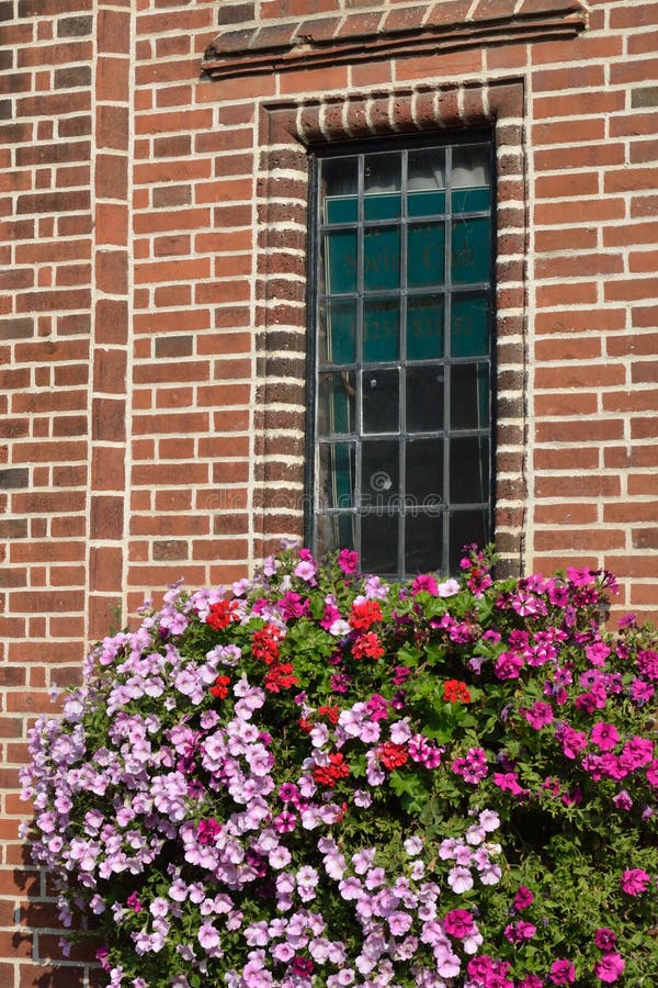 Flowers below window stock image. Image of floral, brick 33450389