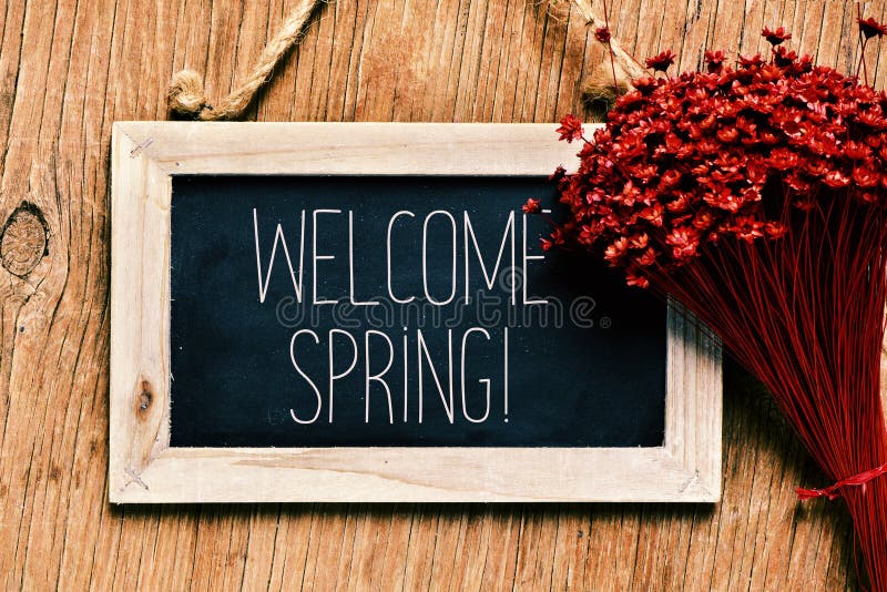 Flowers and blackboard with the text welcome spring