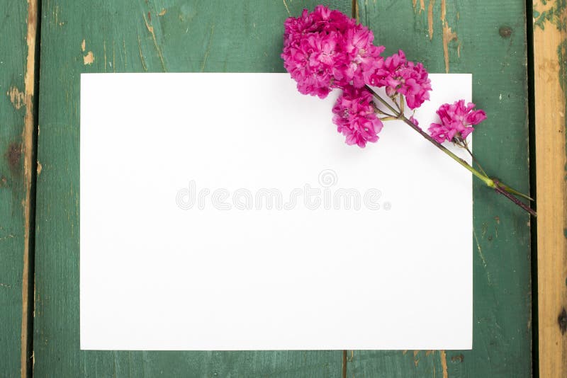 Flowers and blank paper