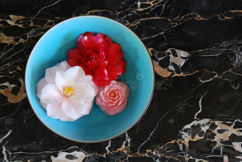 Flowers in blue bowl