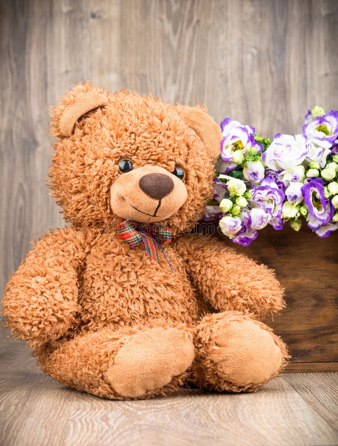 Flowers in the Box and a Teddy Bear Stock Image Image of flowers