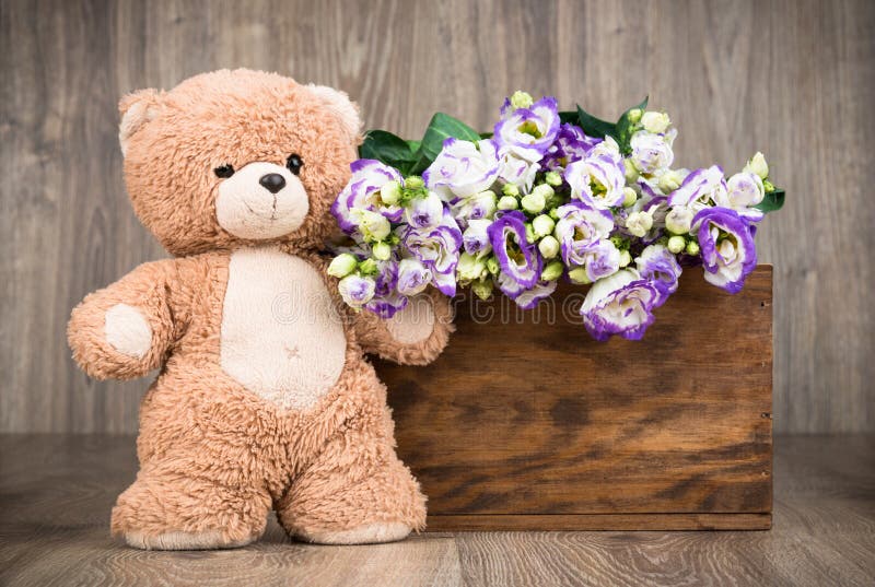 Flowers in the Box and a Teddy Bear Stock Photo Image of dating