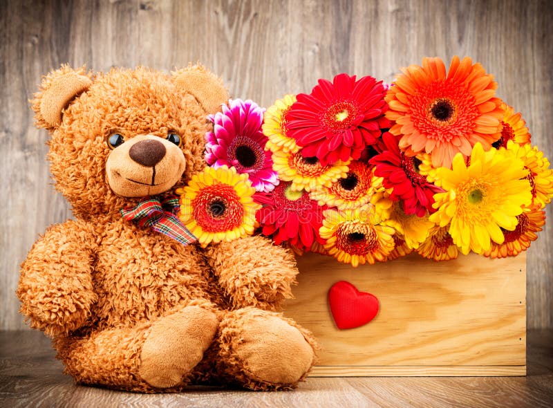 Flowers in the Box and a Teddy Bear Stock Photo Image of cute, green