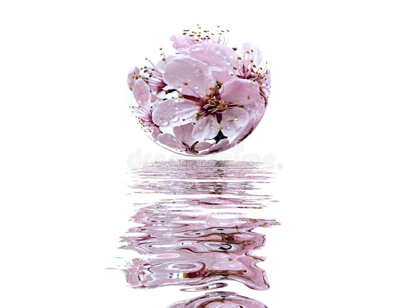 Flowers in Bubble and Water Stock Illustration Illustration of sphere