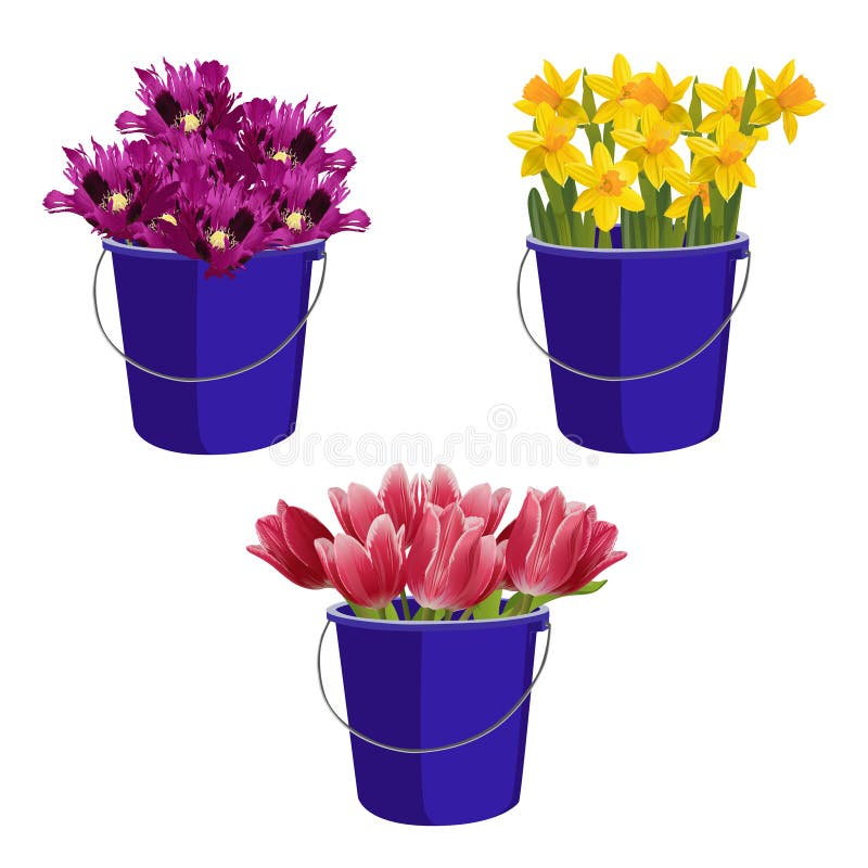 Bucket With Violet Flowers stock illustration. Illustration of flower