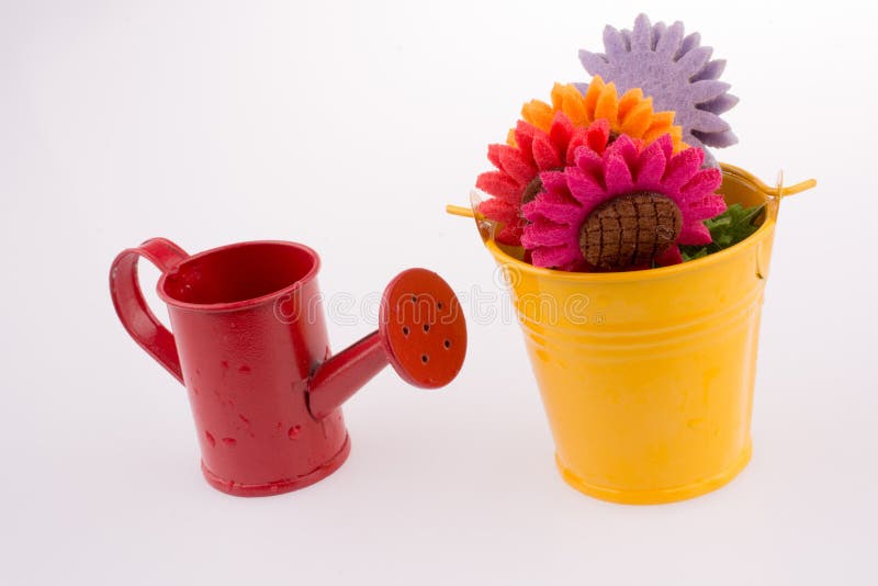 Flowers in Bucket and Watering Can on White Background Stock Photo