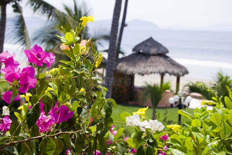 395 La Cabana Stock Photos - Free & Royalty-Free Stock Photos from  Dreamstime