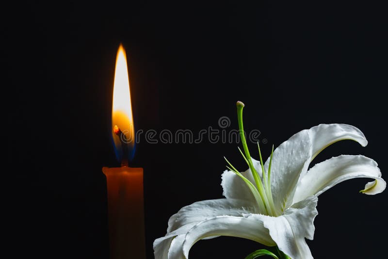 Flowers And Candles Are Burning. Stock Photo Image of dark, isolated