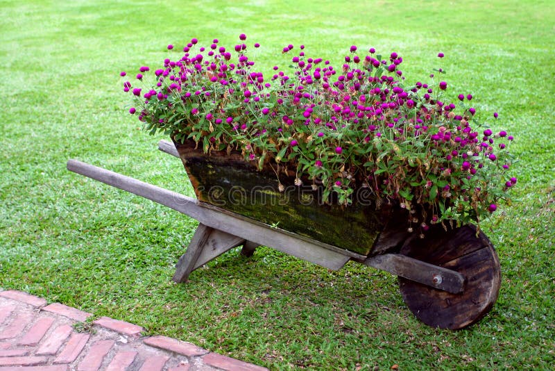 Flowers cart royalty free stock images Flowers cart royalty free stock images