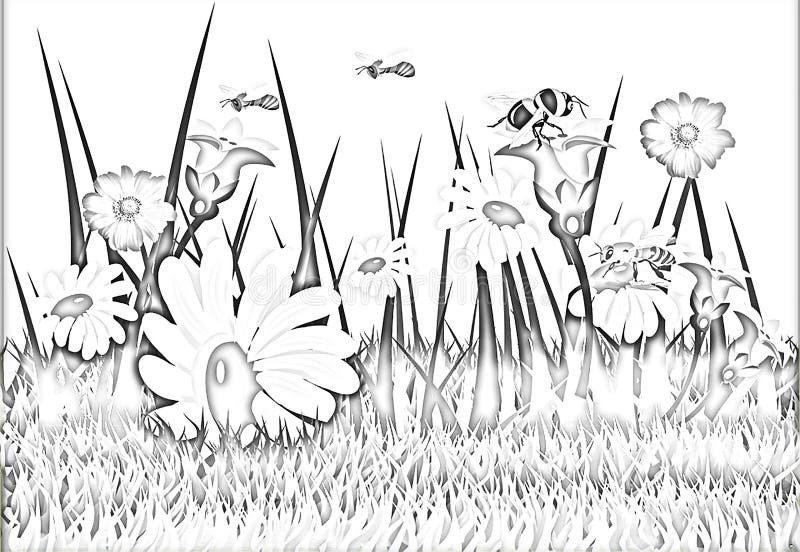 Flowers Cartoon Black and White Coloring Stock Illustration