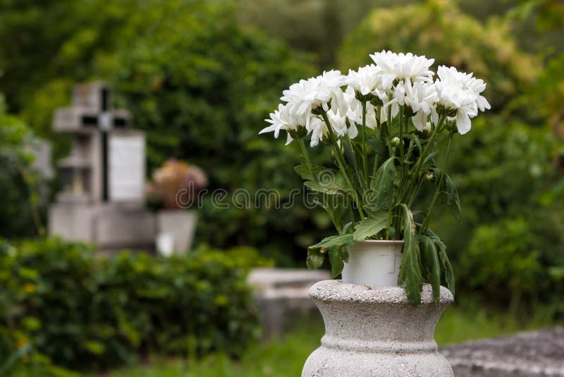 Flowers in cemetery stock image. Image of tranquil, ruined 26179263