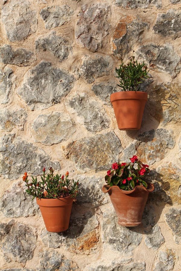 Flowers in clay pots hung on the stone wall