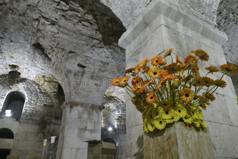 Flowers on Column in the Cellars Stock Photo Image of cellar, vault 151906240