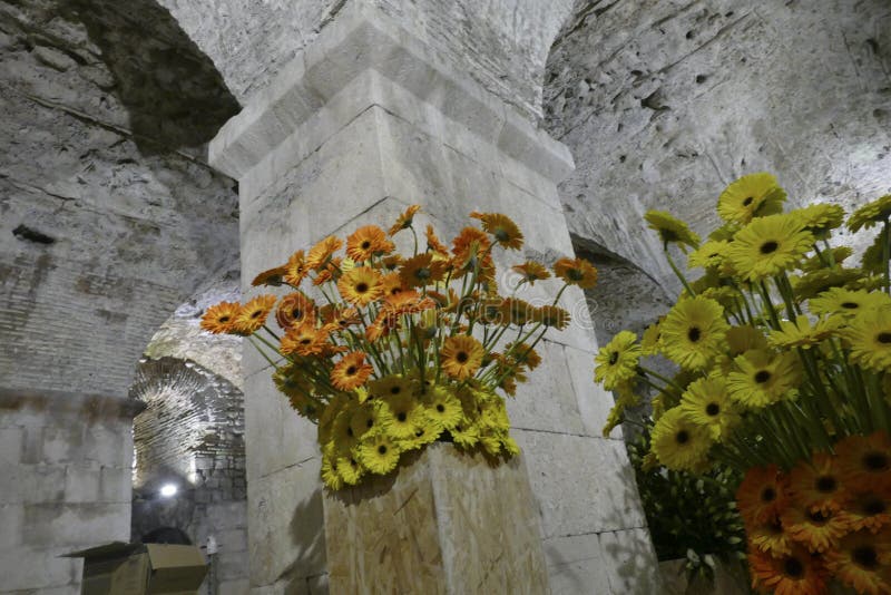 Flowers on Column in the Cellars Stock Photo Image of cellar, plant 152790300