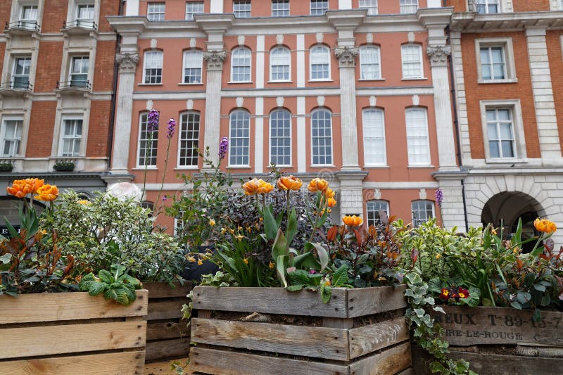 112 Covent Garden Flowers Stock Photos Free & RoyaltyFree Stock