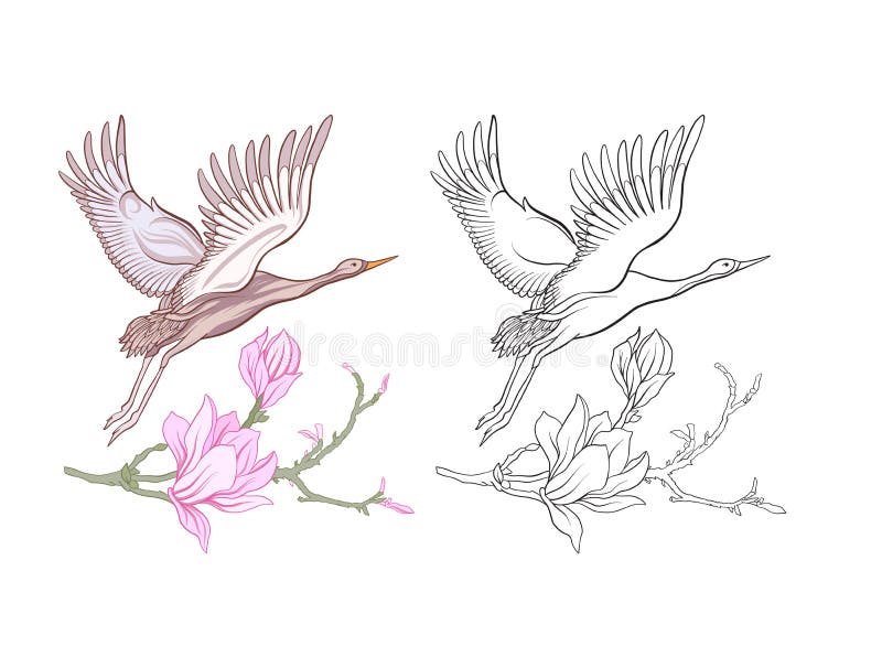 Set Of Colored Sample And Outline Drawing Stock Vector