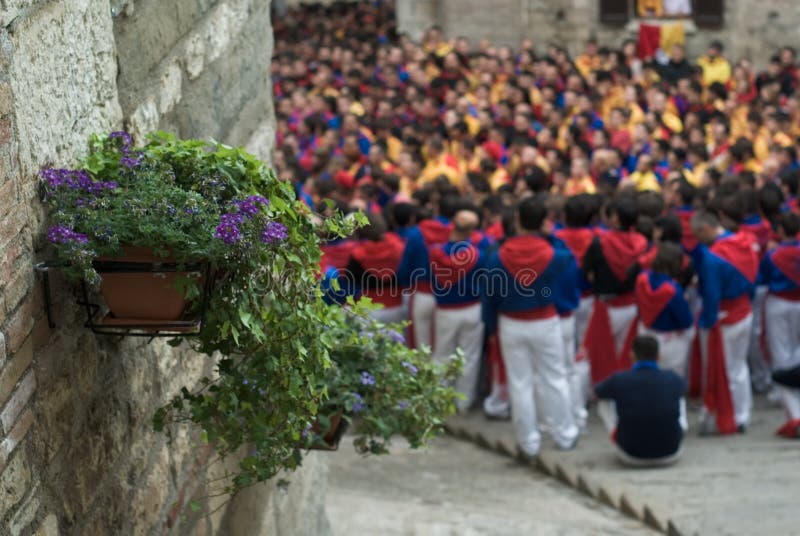 Flowers and Crowd