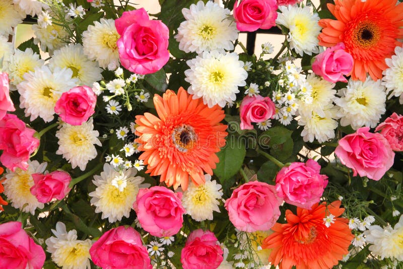 Flowers Decoration Background Stock Image Image of flora, outside