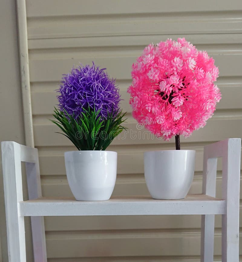 Flowers and Decorative Plastic Plants in the House Stock Photo Image