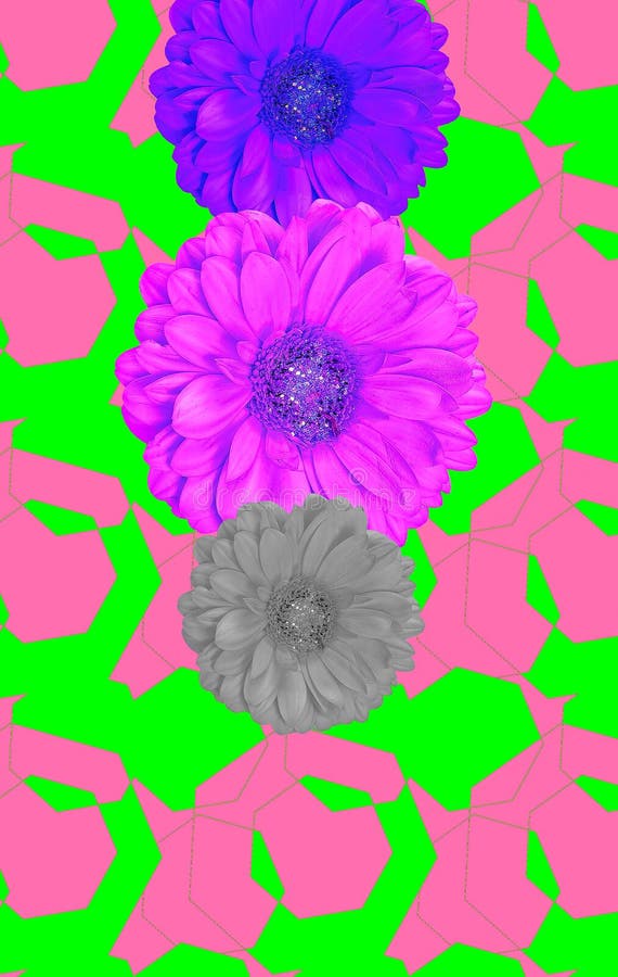 Flowers Design Wallpaper. Minimal Geometry and Flowers Creative Collage Art Stock Photo - Image of colors, wallpaper: 188376022 Flowers Design Wallpaper. Minimal Geometry and Flowers Creative Collage Art Stock Photo - Image of colors, wallpaper: 188376022