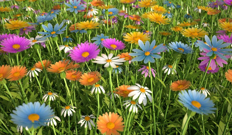 Flowers of different colors, in a grass field.