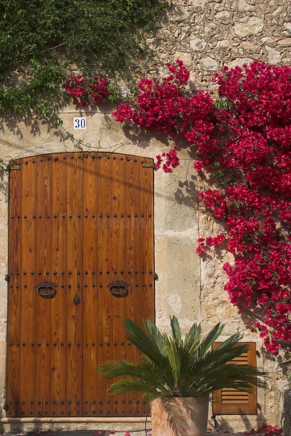 Flowers & door