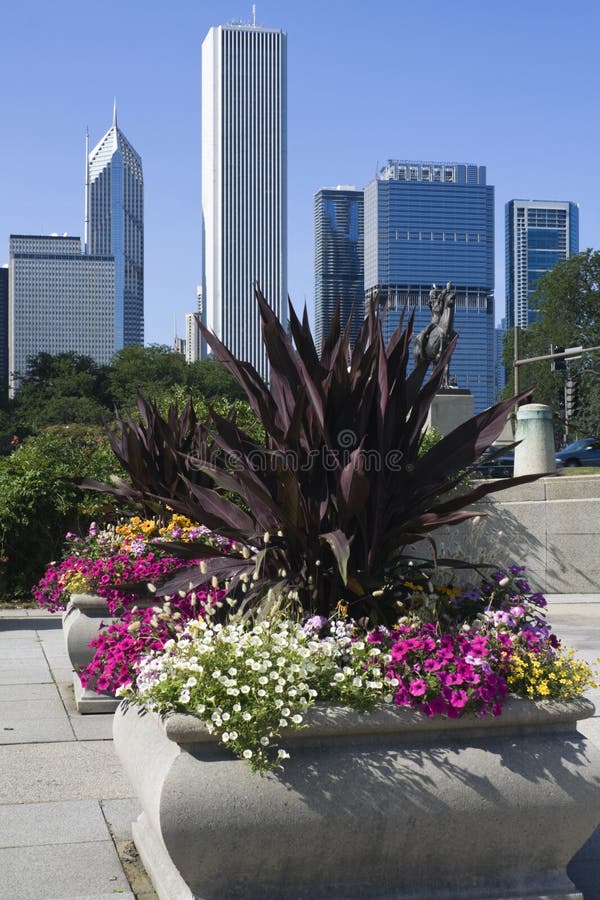 Flowers in Downtown Chicago Stock Photo Image of skyline, skyscraper 10446248
