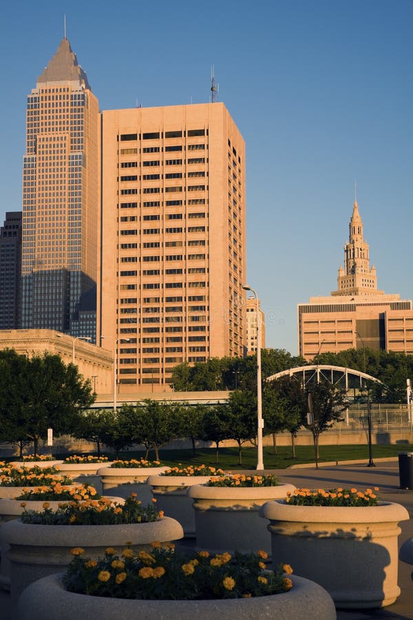 Flowers in Downtown Cleveland Stock Image Image of urban, skyline