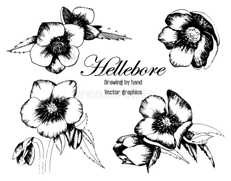 Flowers that draw a line. stock illustration. Illustration of garden