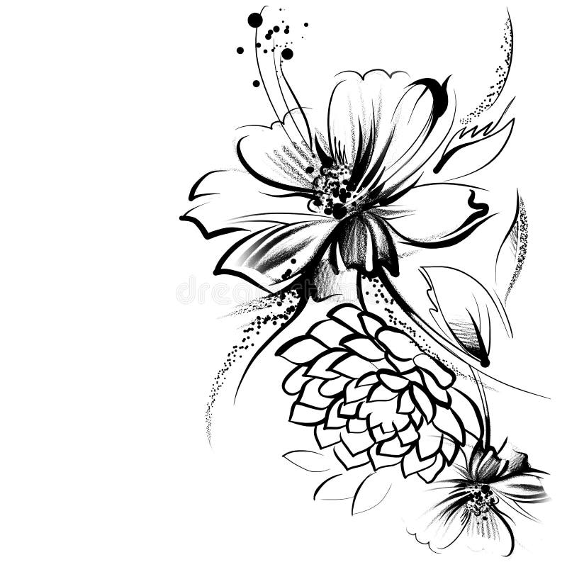 Flowers, Drawn in Ink on a White Paper Stock Illustration ...