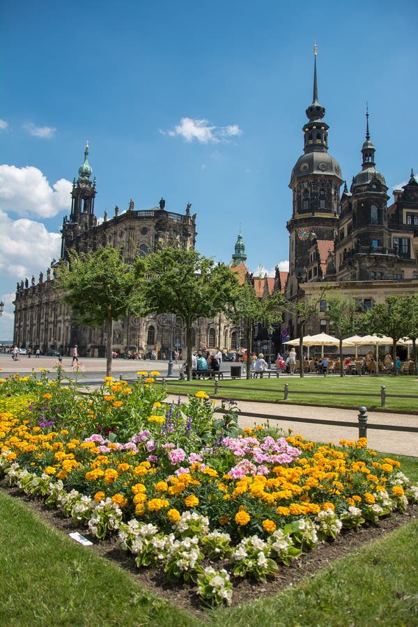 Flowers in Dresden stock image. Image of branches, background 31190533