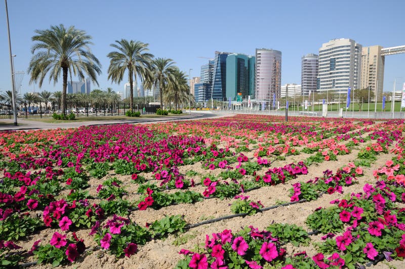 Flowers in Dubai City stock image. Image of east, city 12906827