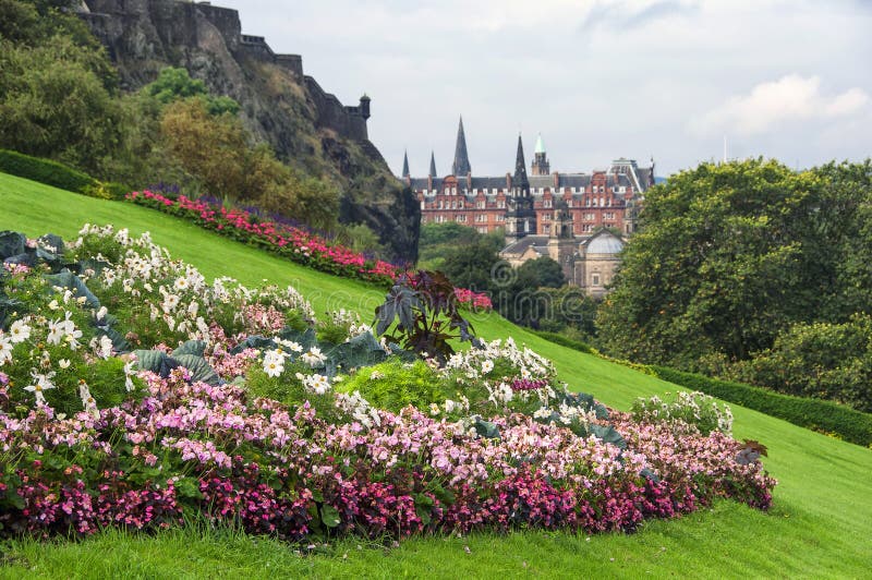 Flowers of Edinburgh Castle Stock Photo Image of europe, grass 53031096