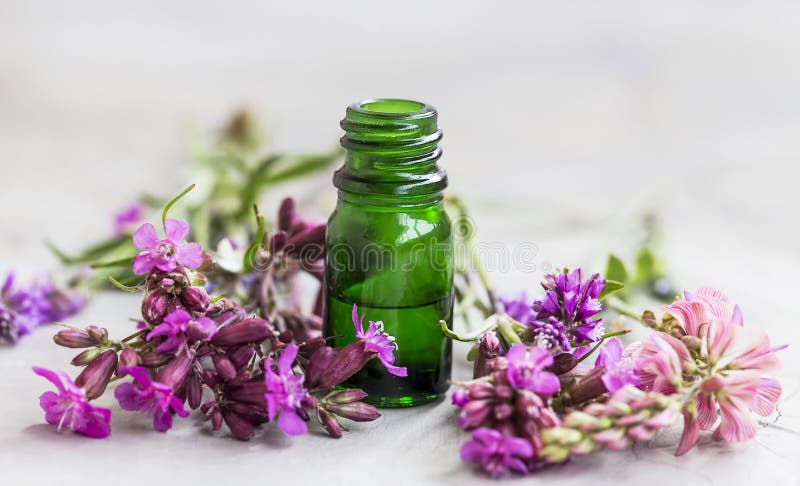 Flowers Essential Oil Bottle Stock Image Image Of Lavender Aroma 116197473