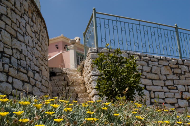 Flowers and fence