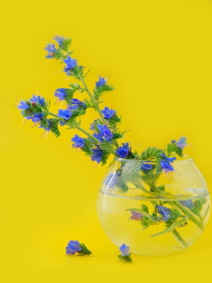 Flowers are the field in a round vase.