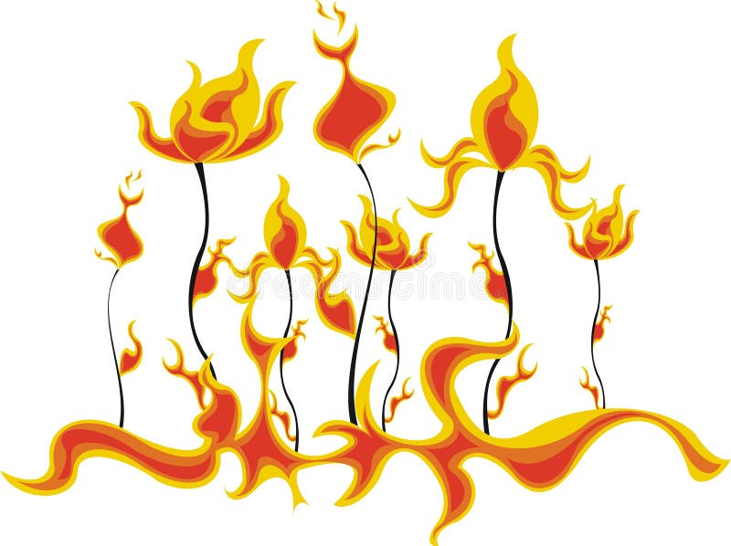 Flowers On Fire Picture. Image 7988016
